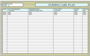 nursing care plan: hygiene, current state, implementation, evaluation, observations, statements on how to improve the patient.
