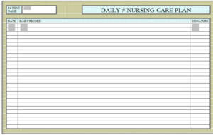 nursing care plan: daily record of everything concerning the patient, current state,  evaluation, observations, statements on how to improve the patient.