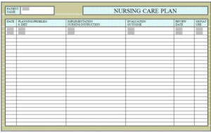 nursing care plan: diet, special foods, favorite foods, current state, implementation, evaluation, observations, statements on how to improve the patient.