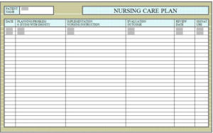 nursing care plan: dying with dignity, special requests, implementation, evaluation, observations, statements on how to improve the patient.