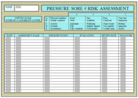 care plans: pressure sore risk assessment, norton scale, implementation, evaluation, procedures, equipment.