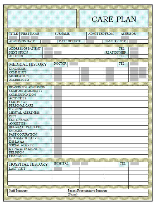 care plan form