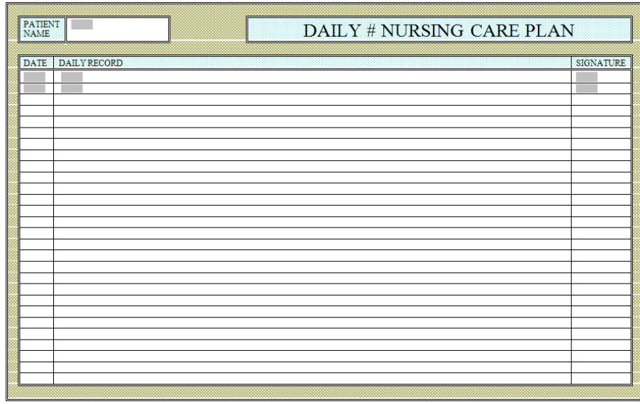 patient daily careplan record form