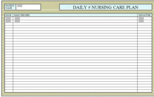 nursing care plan: daily record of everything concerning the patient, current state,  evaluation, observations, statements on how to improve the patient.