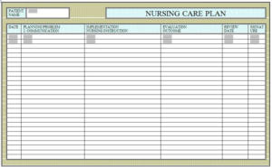nursing care plan: communication, current state, implementation, evaluation, observations, statements on how to improve the patient.