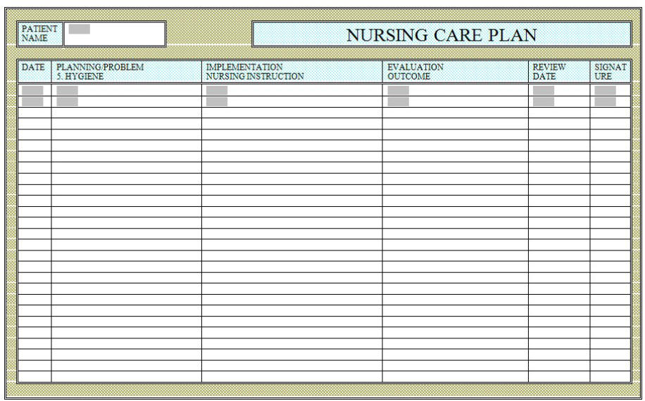 patient hygiene form