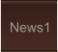 News1