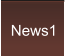 News1