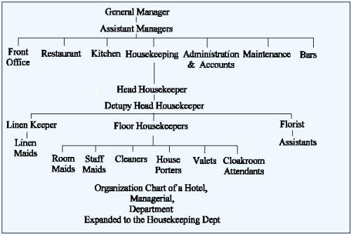 hotel staffing structure showing all the different departments